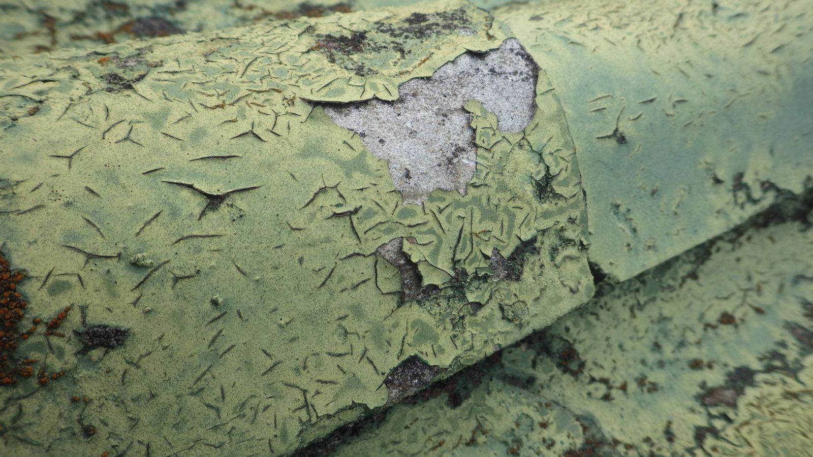 みよし市　倉庫塗装　K様邸